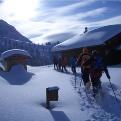 Sledding and snowshoeing 2